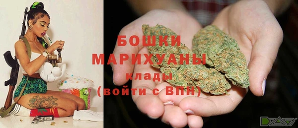 МДПВ Новозыбков