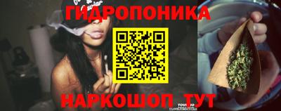 дмт Абинск