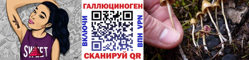 Псилоцибиновые грибы GOLDEN TEACHER  Альметьевск 