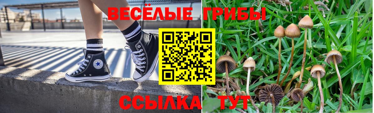 Псилоцибиновые грибы прущие грибы  Псилоцибиновые грибы прущие грибы  Альметьевск  Вход с VPN 